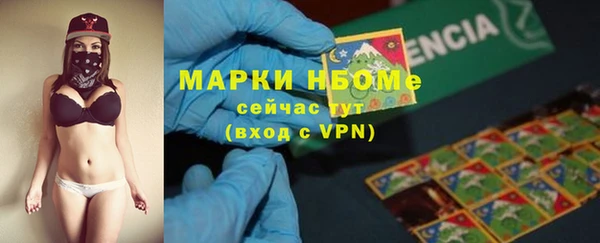 spice Богородицк