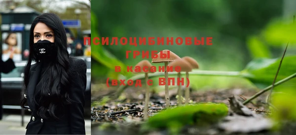 spice Богородицк