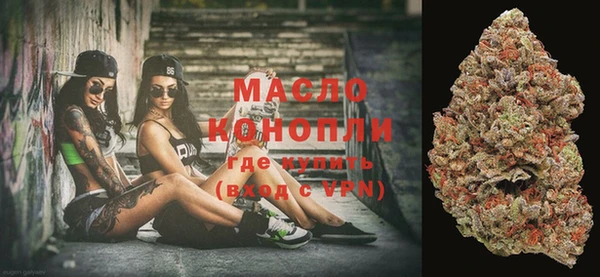 spice Богородицк