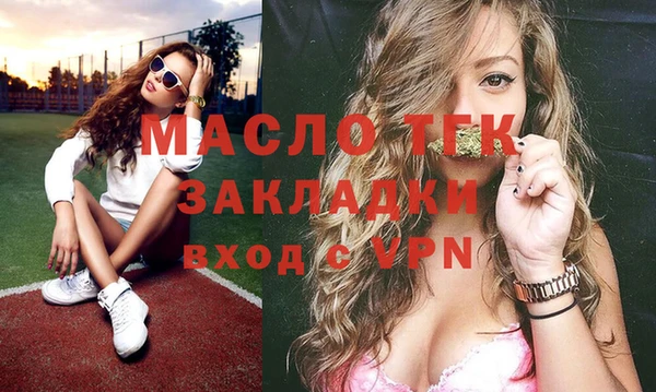 spice Богородицк