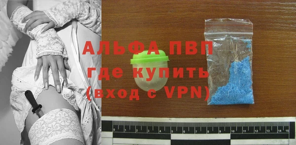 spice Богородицк