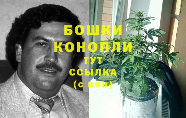 дживик Саяногорск