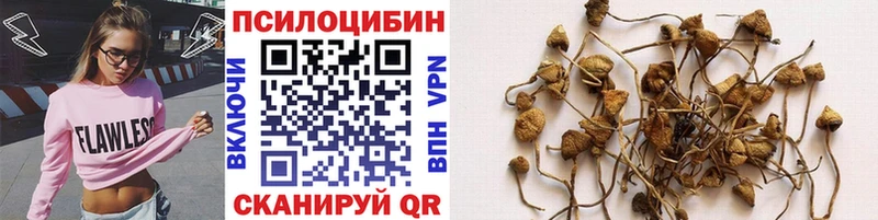 Псилоцибиновые грибы MAGIC MUSHROOMS  Буинск 